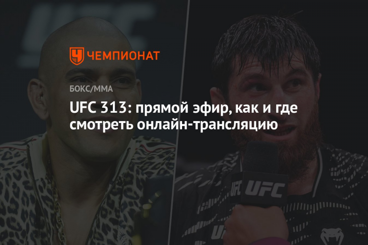 Канал спортивный смотреть онлайн прямой эфир бесплатно