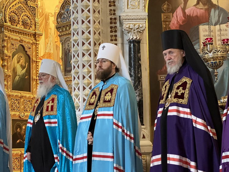 Миссия свет христа прямая трансляция