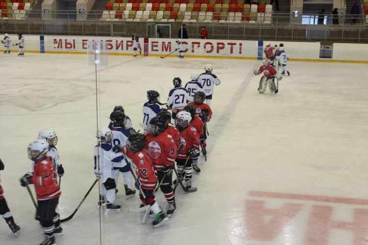 Р хоккей 2015