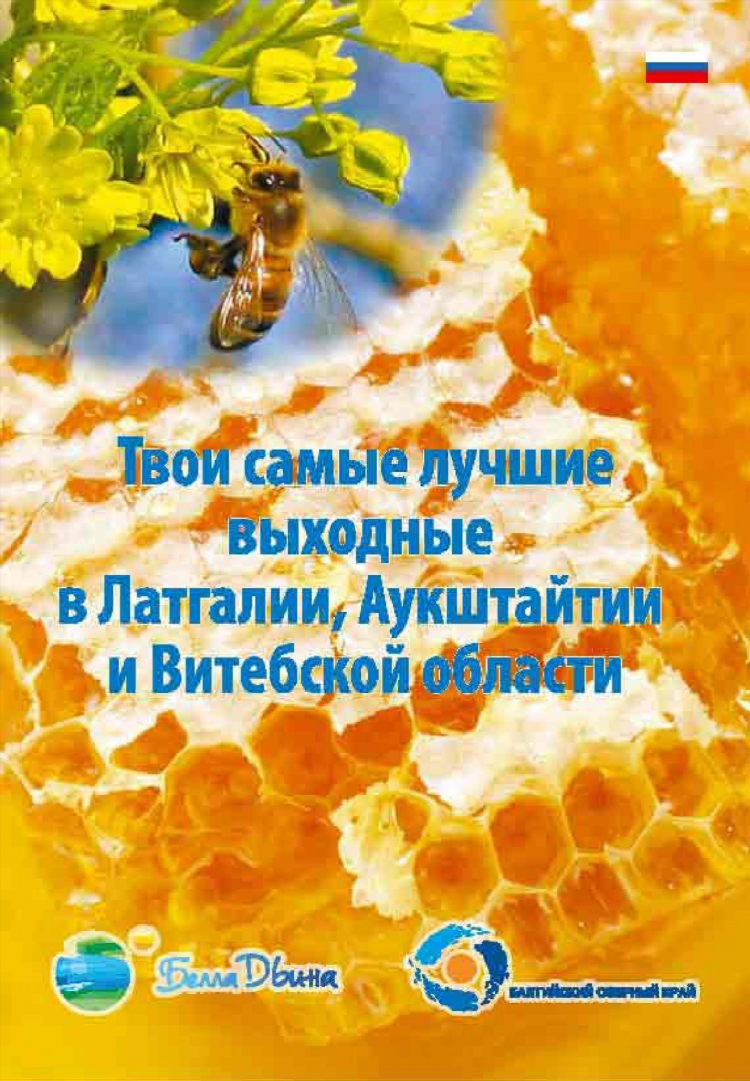 Рейсон пляжный волейбол
