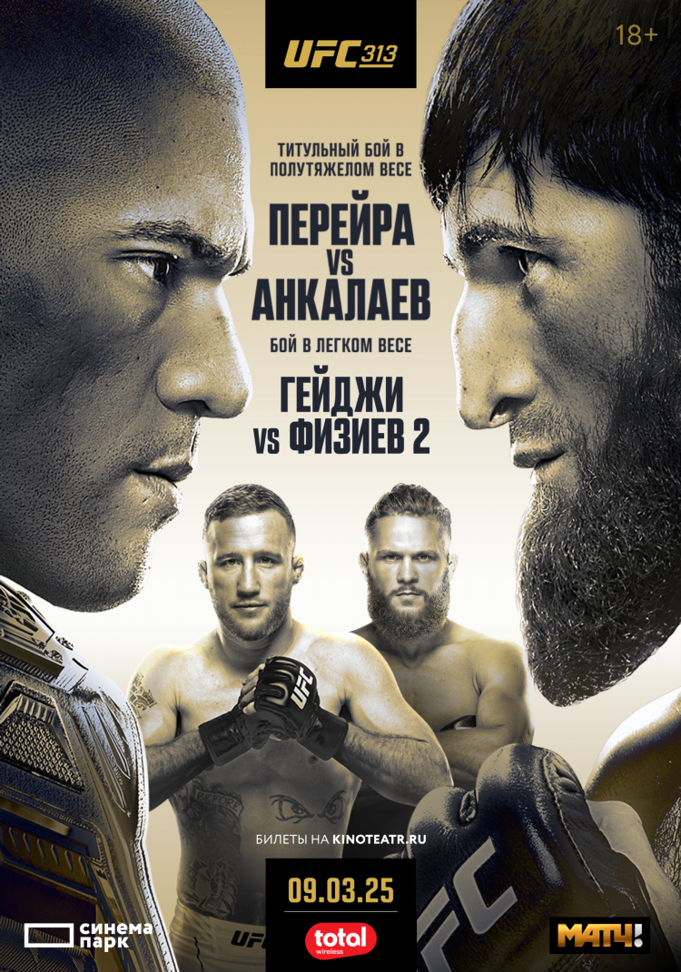 Смотреть последний ufc