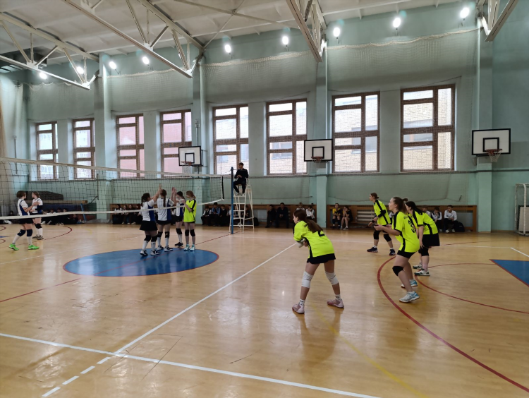 Соревнования по волейболу тюмень