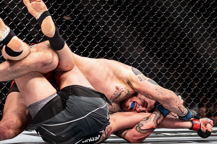 Ufc 3 как делать болевой