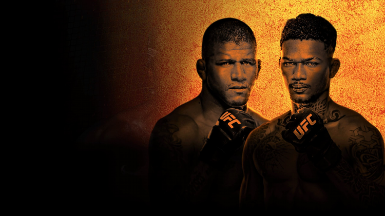 Ufc новости на сегодня