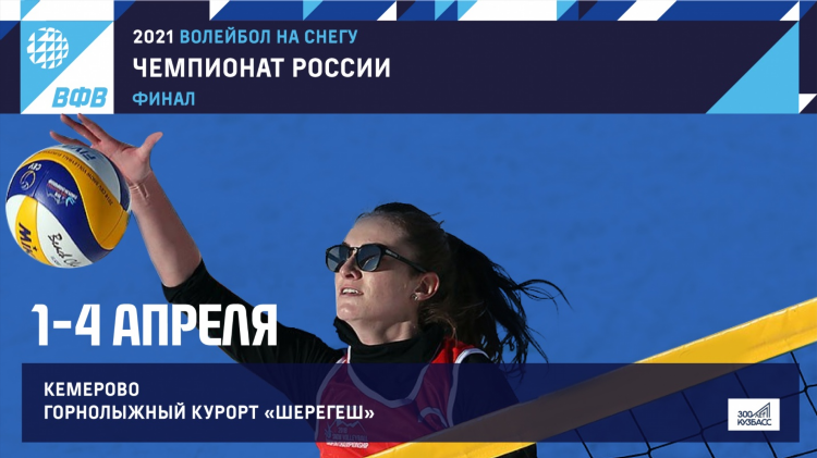 Волейбол чемпионат рф